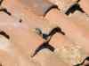 SANY0612.JPG - 2008:01:26 14:09:43