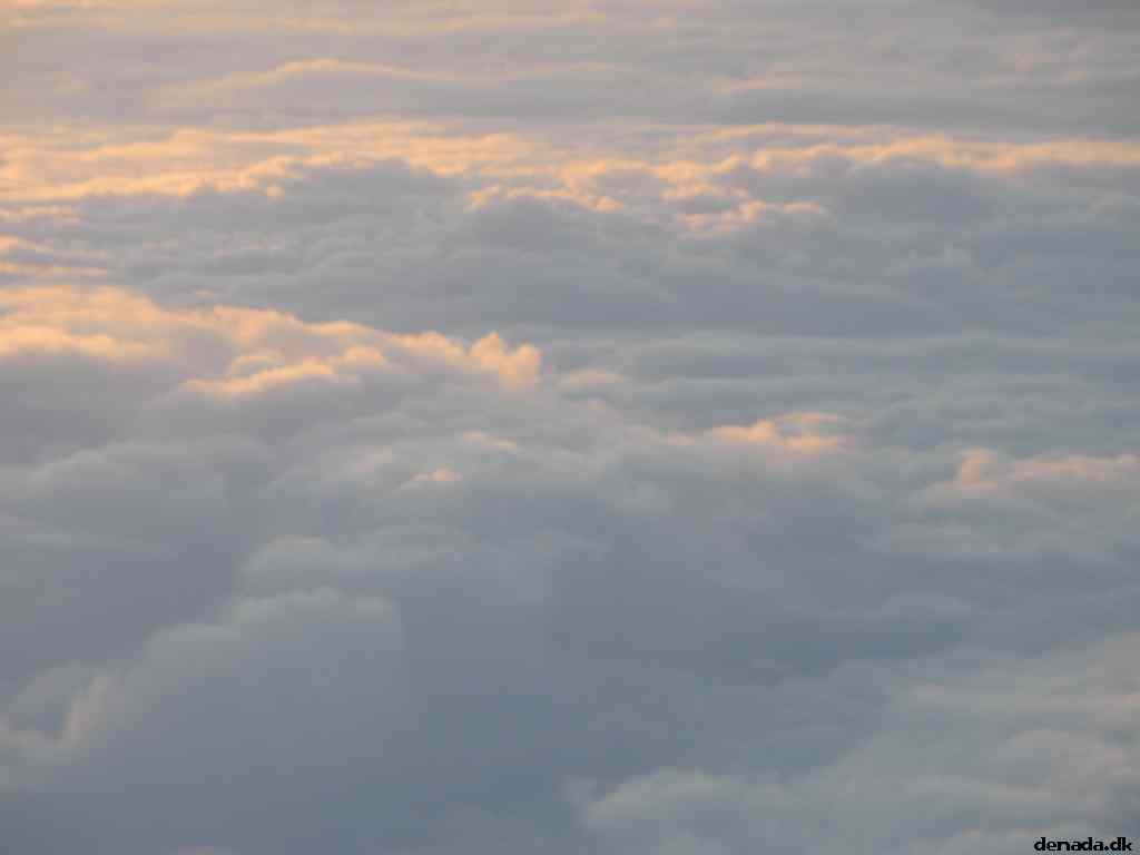 * Image 5