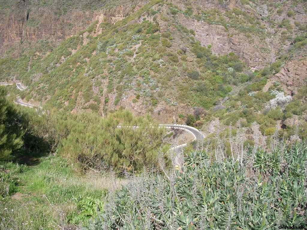 * Image 210
