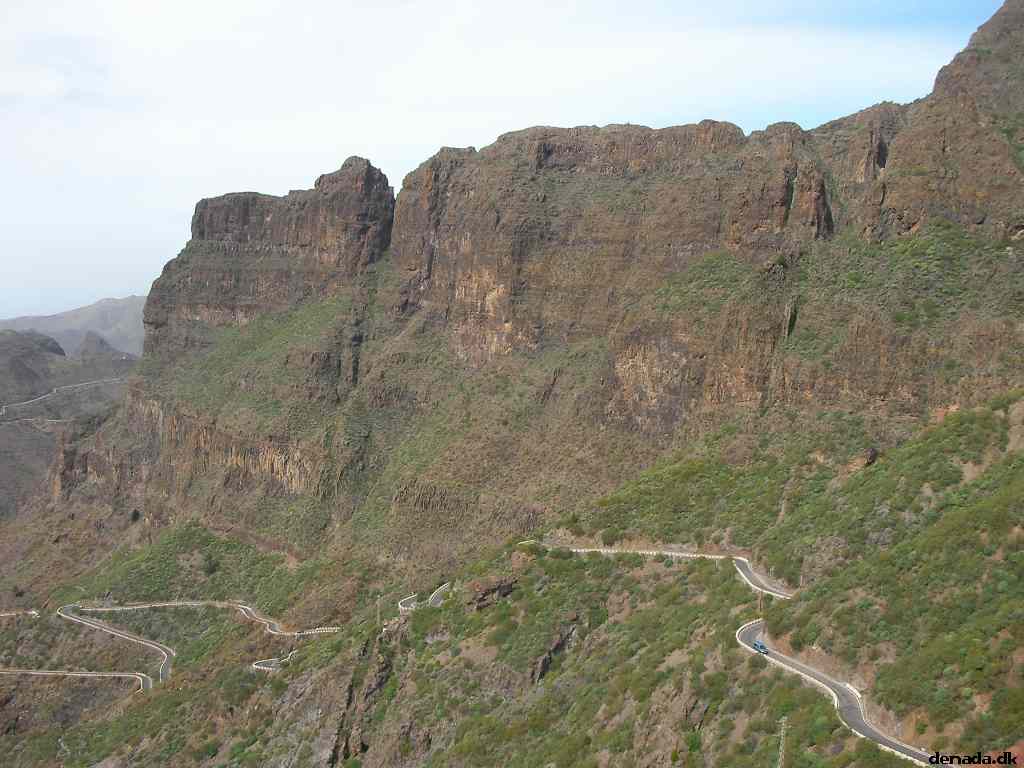 * Image 218