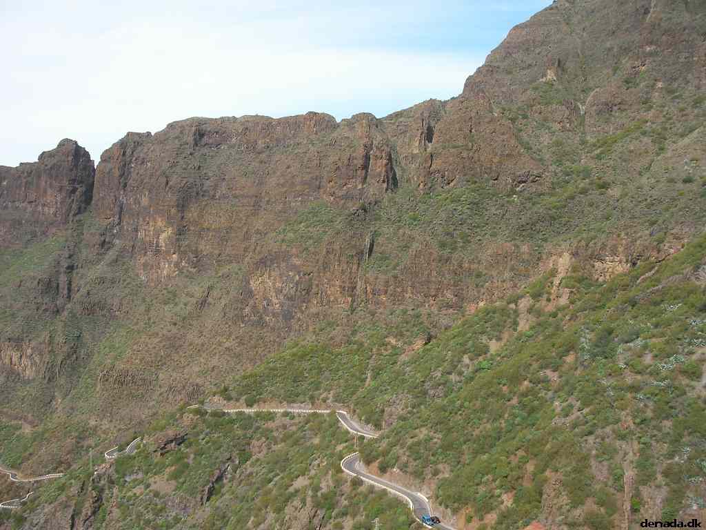 * Image 220