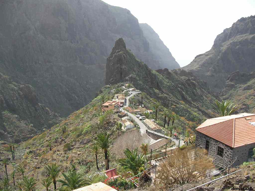 * Image 226