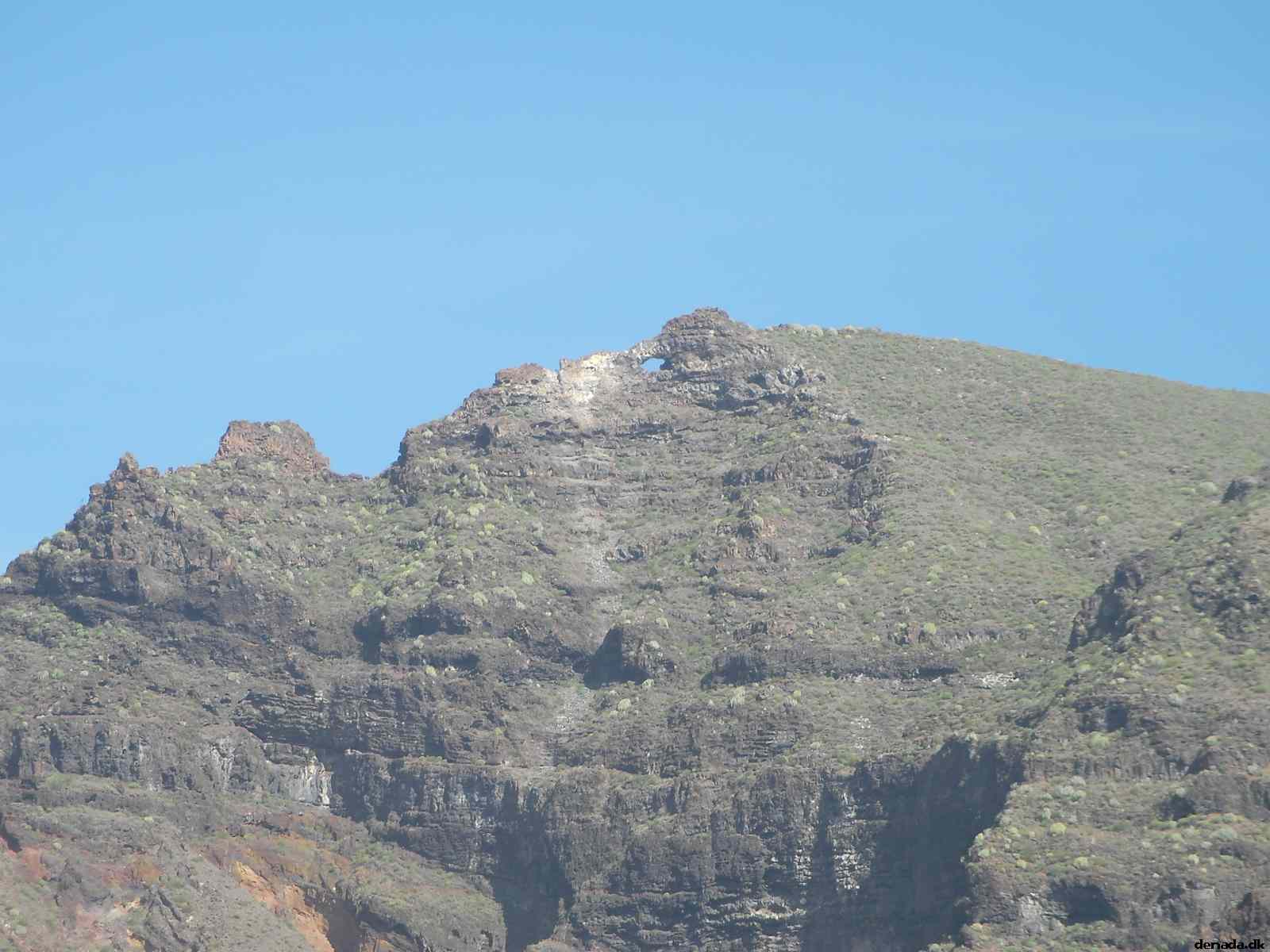 * Image 204