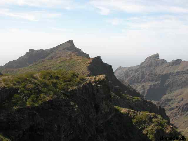 * Image 213