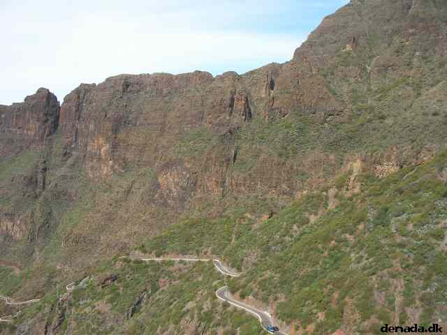 * Image 220