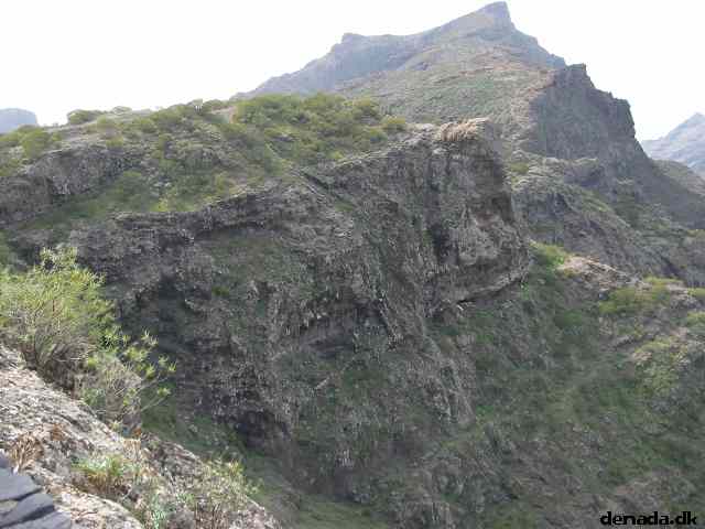 * Image 225
