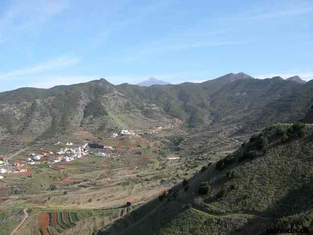 * Image 253