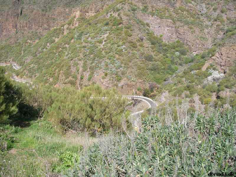 * Image 210