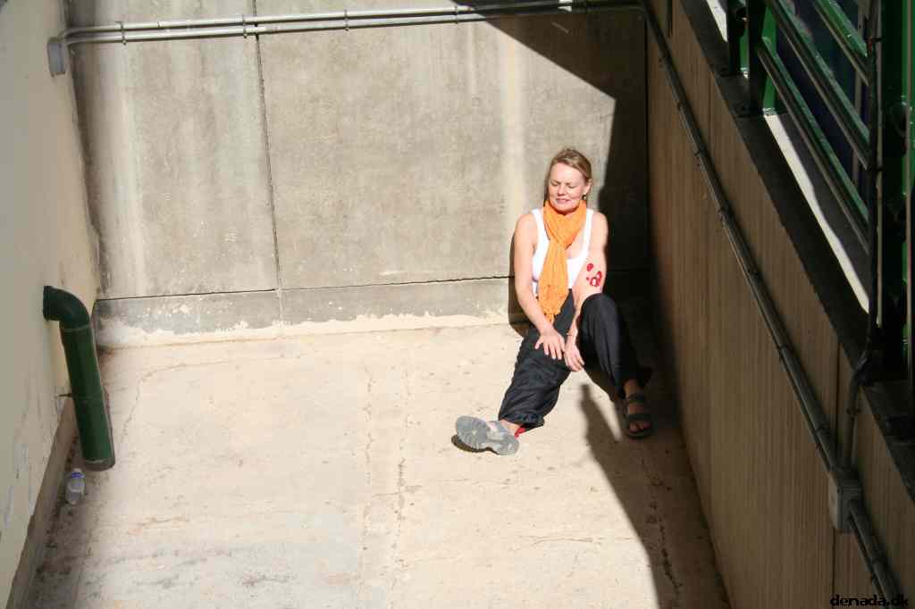 * Image 516