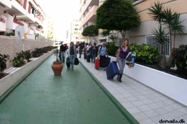 * Image 7