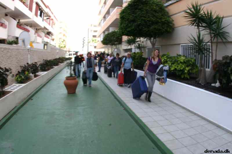 * Image 7