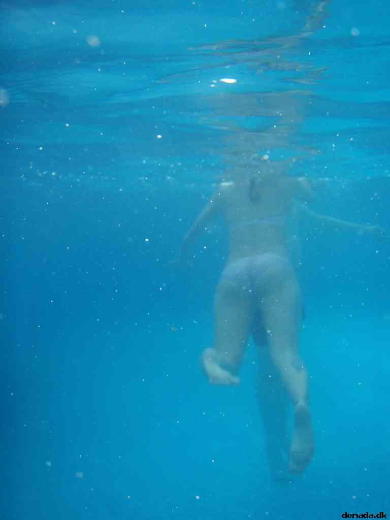 * Image 19