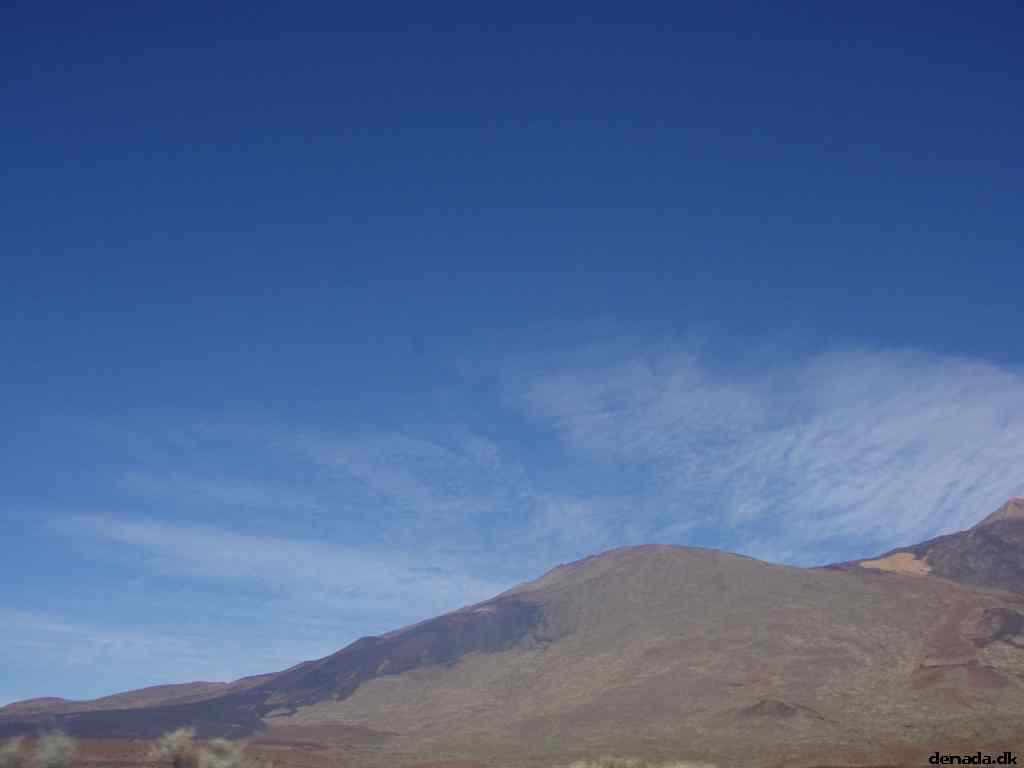 * Image 40