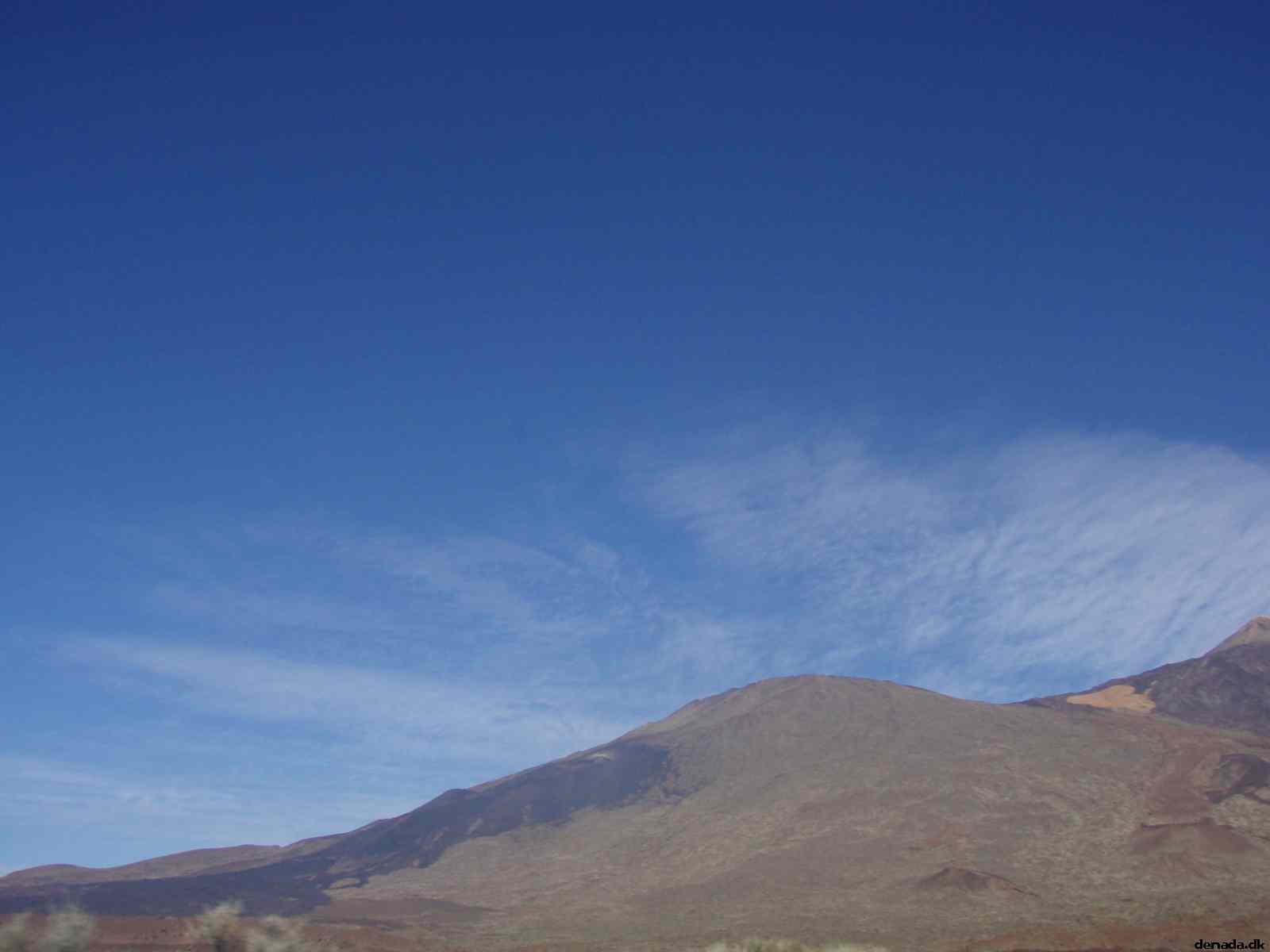 * Image 40