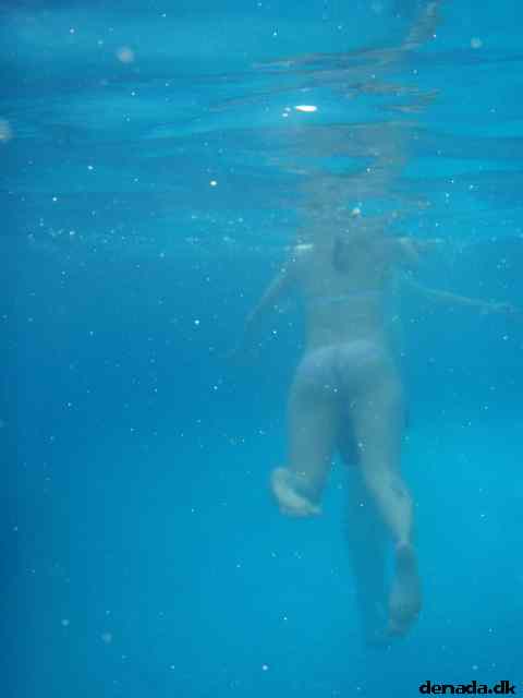 * Image 19