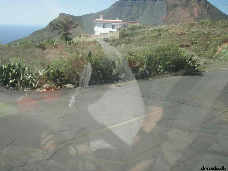 * Image 35