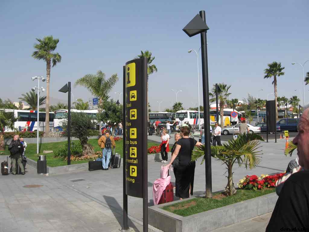 * Image 19