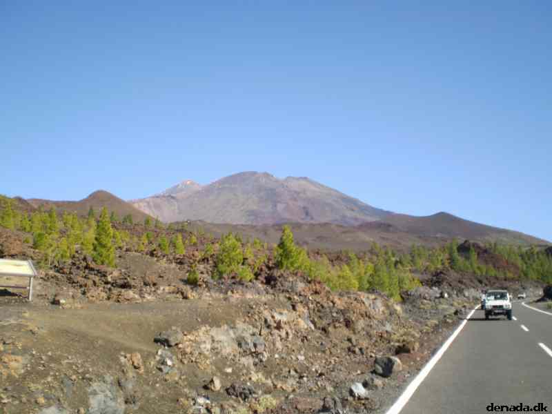 * Image 181