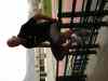 DSC00116.JPG - 2008:01:22 14:52:38