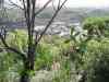 DSC00231.JPG - 2008:01:25 16:36:32
