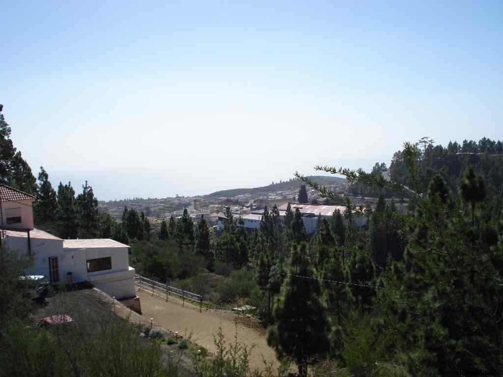 * Image 162