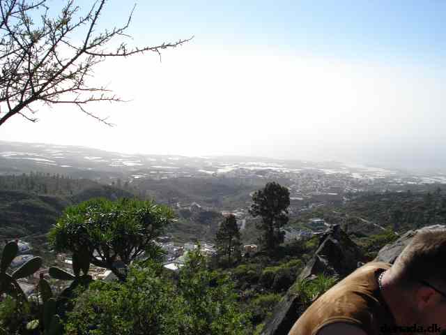 * Image 180