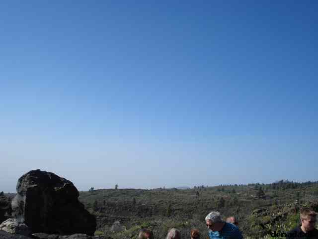 * Image 185