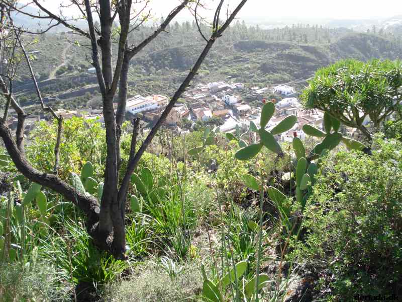 * Image 183