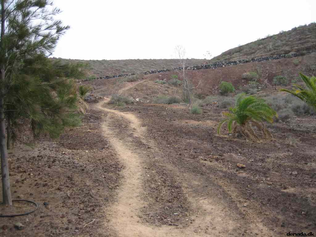 * Image 1