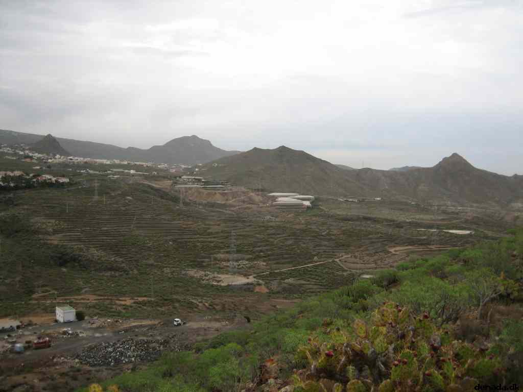 * Image 7