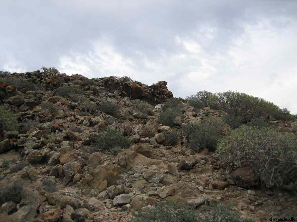 * Image 22