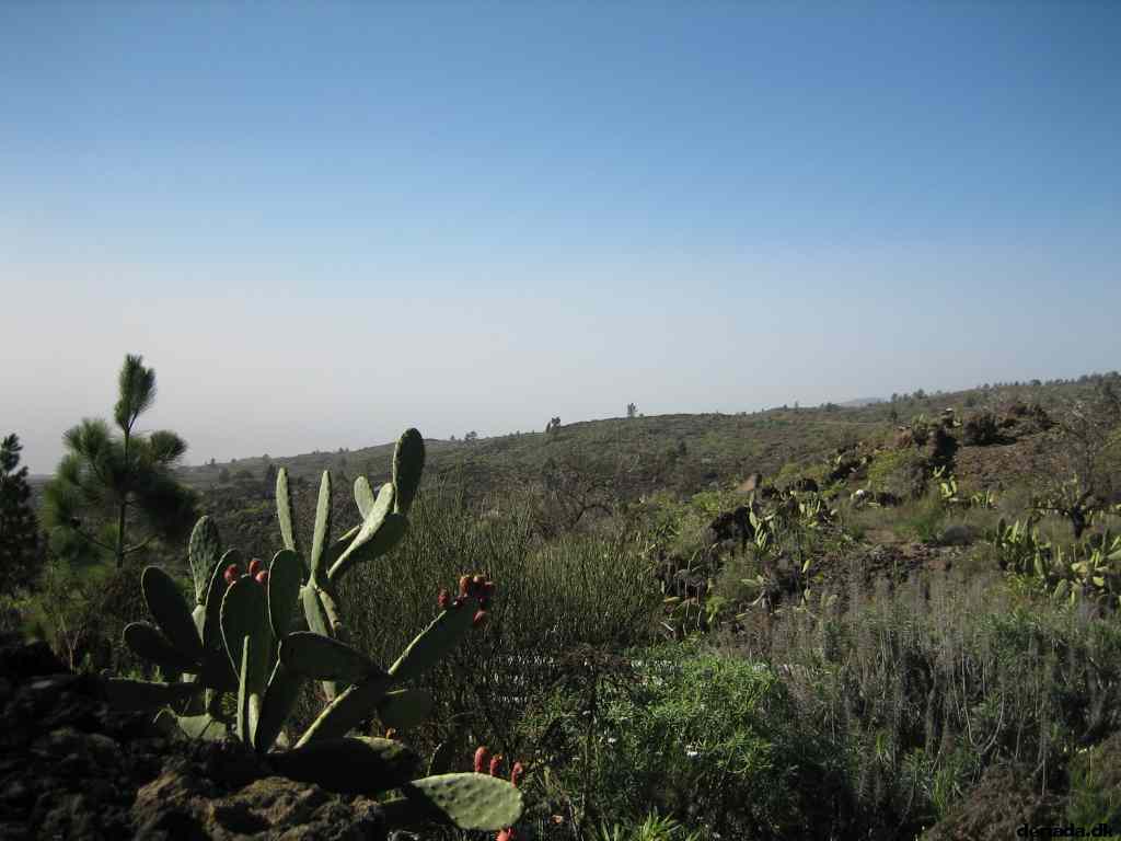 * Image 39