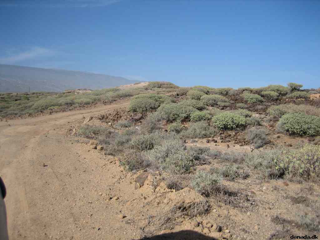 * Image 62