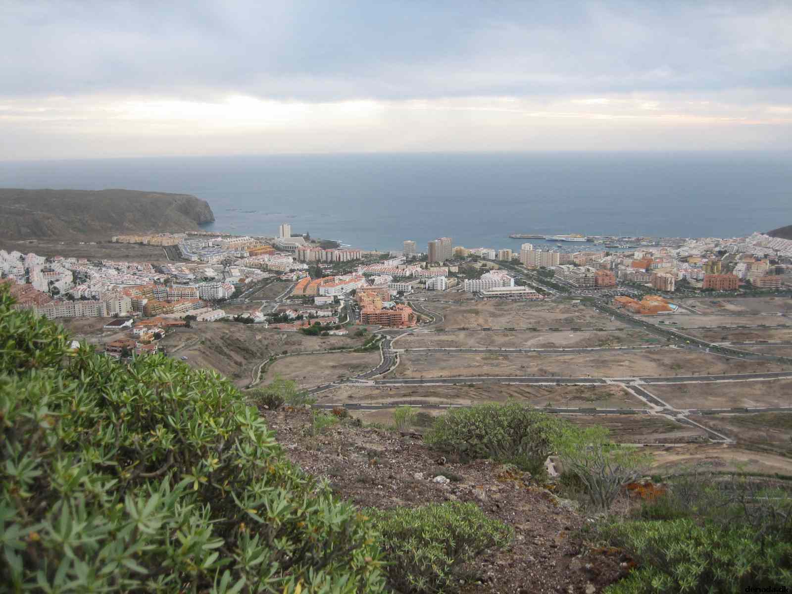 * Image 4