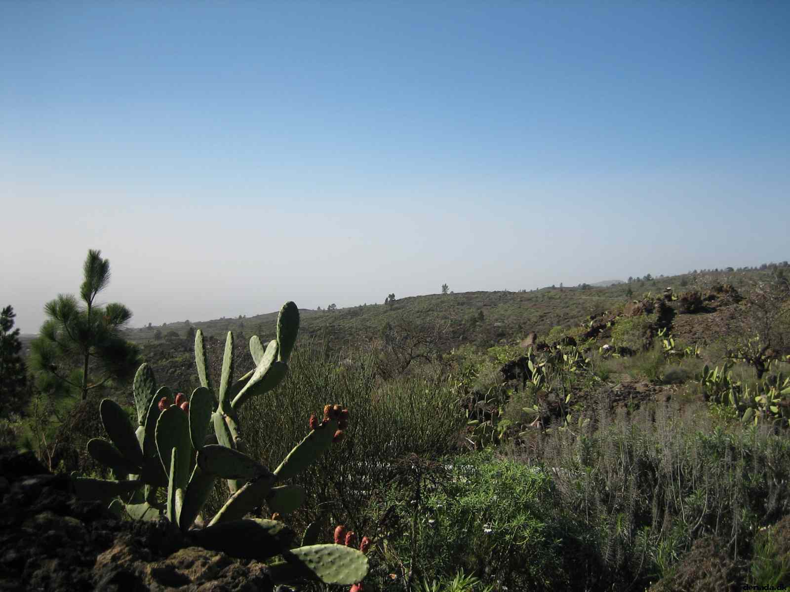 * Image 39