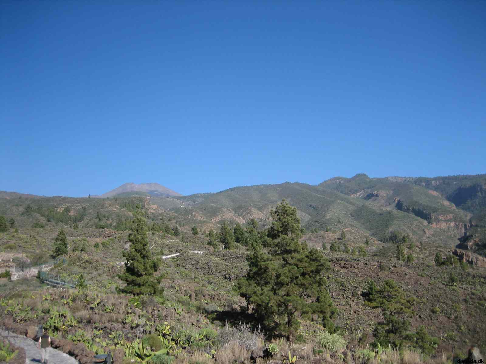 * Image 40