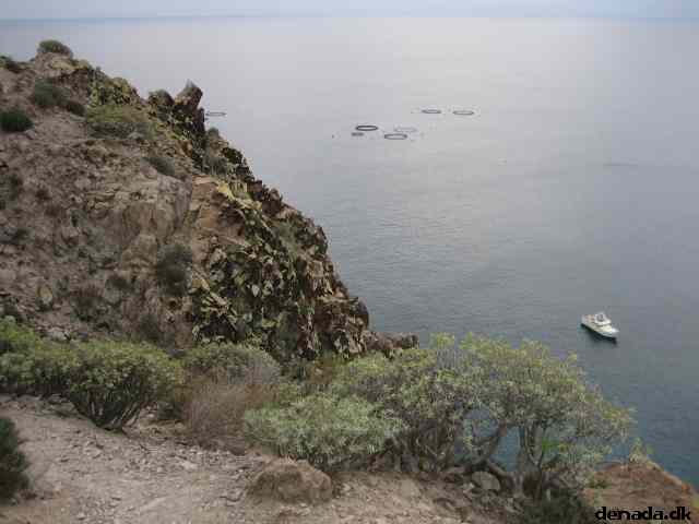 * Image 14