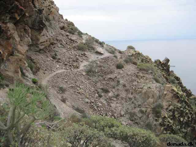 * Image 15