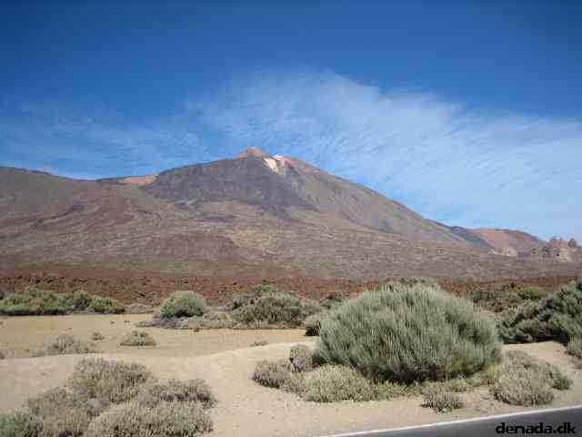 * Image 33