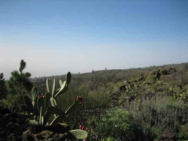 * Image 39