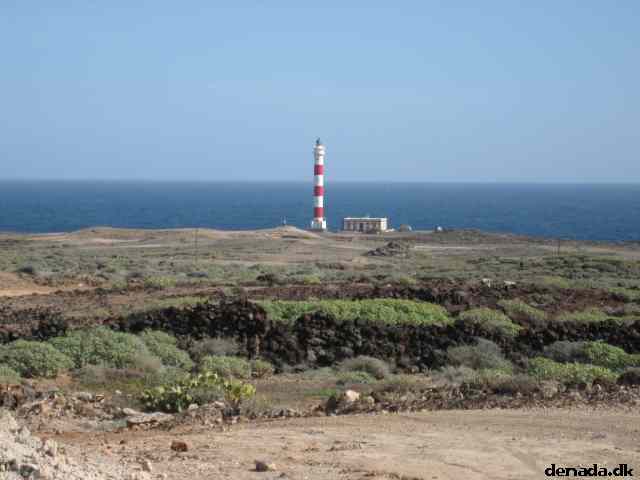* Image 55