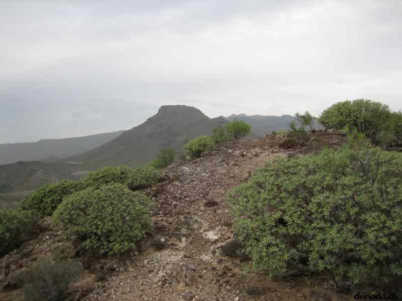 * Image 2