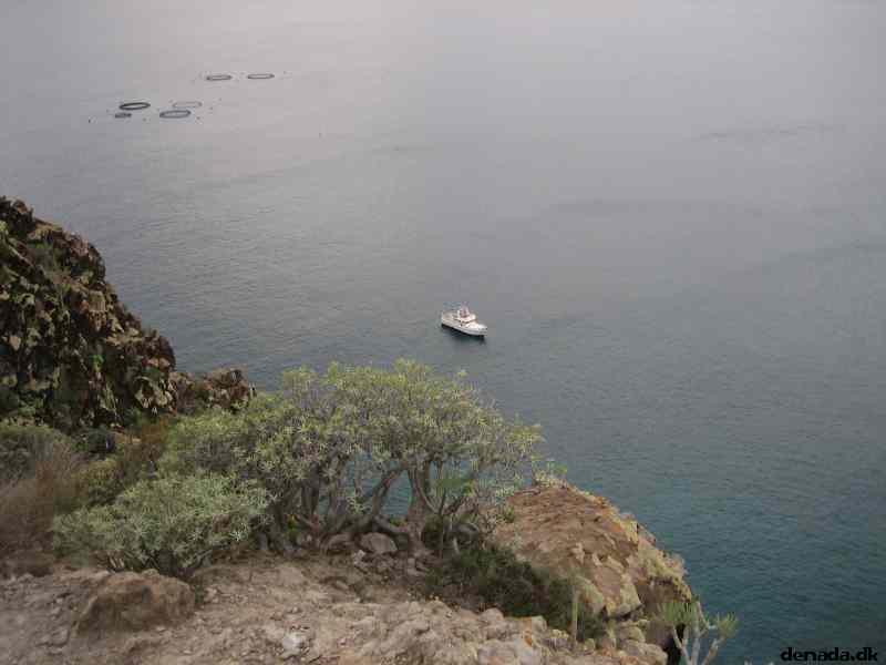 * Image 13