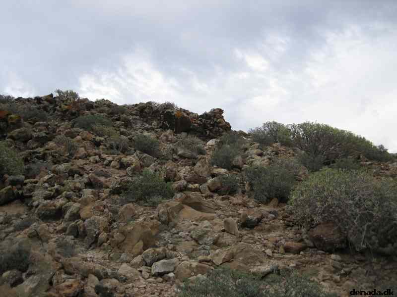* Image 22