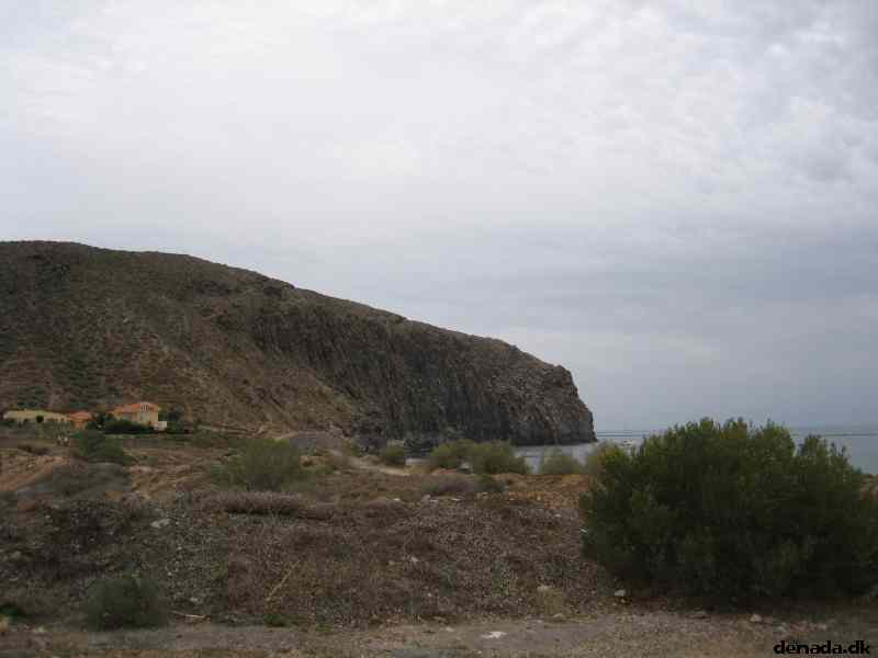 * Image 25
