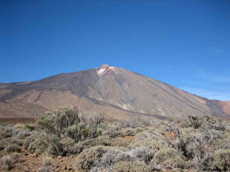 * Image 36