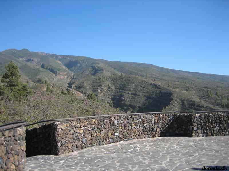 * Image 41