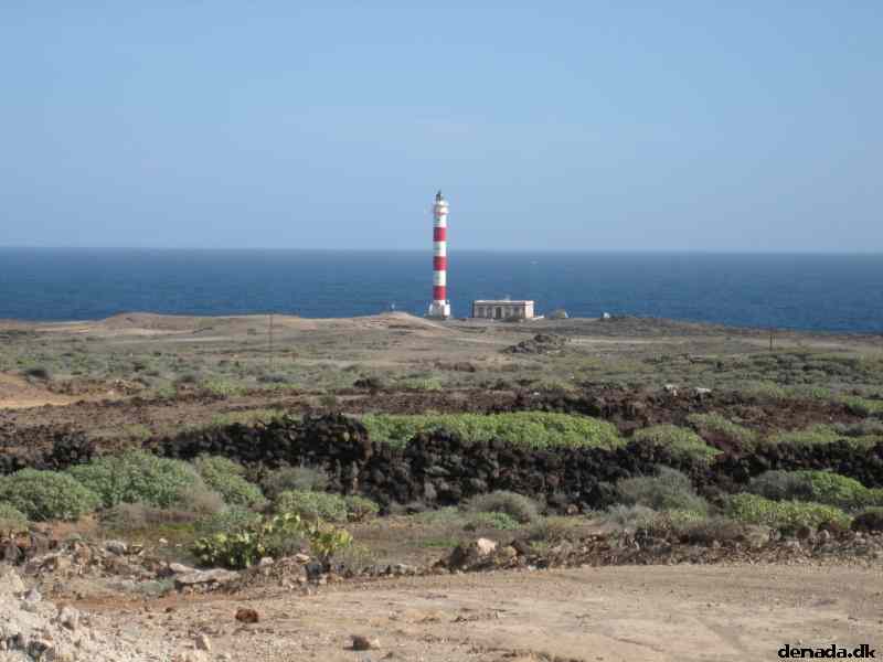* Image 55