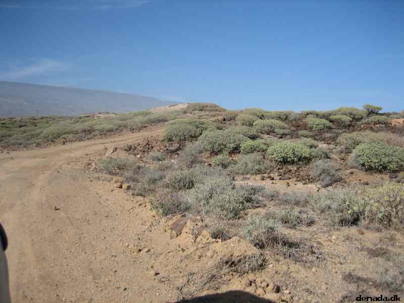 * Image 62