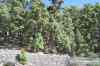 20080125_141623.jpg - 2008:01:25 14:16:23